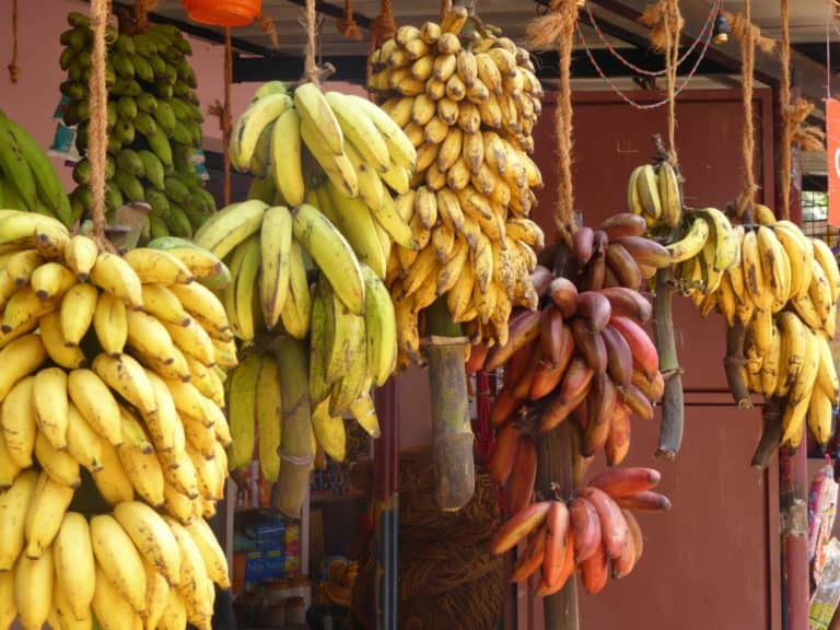 בננה ערך תזונתי וקלוריות